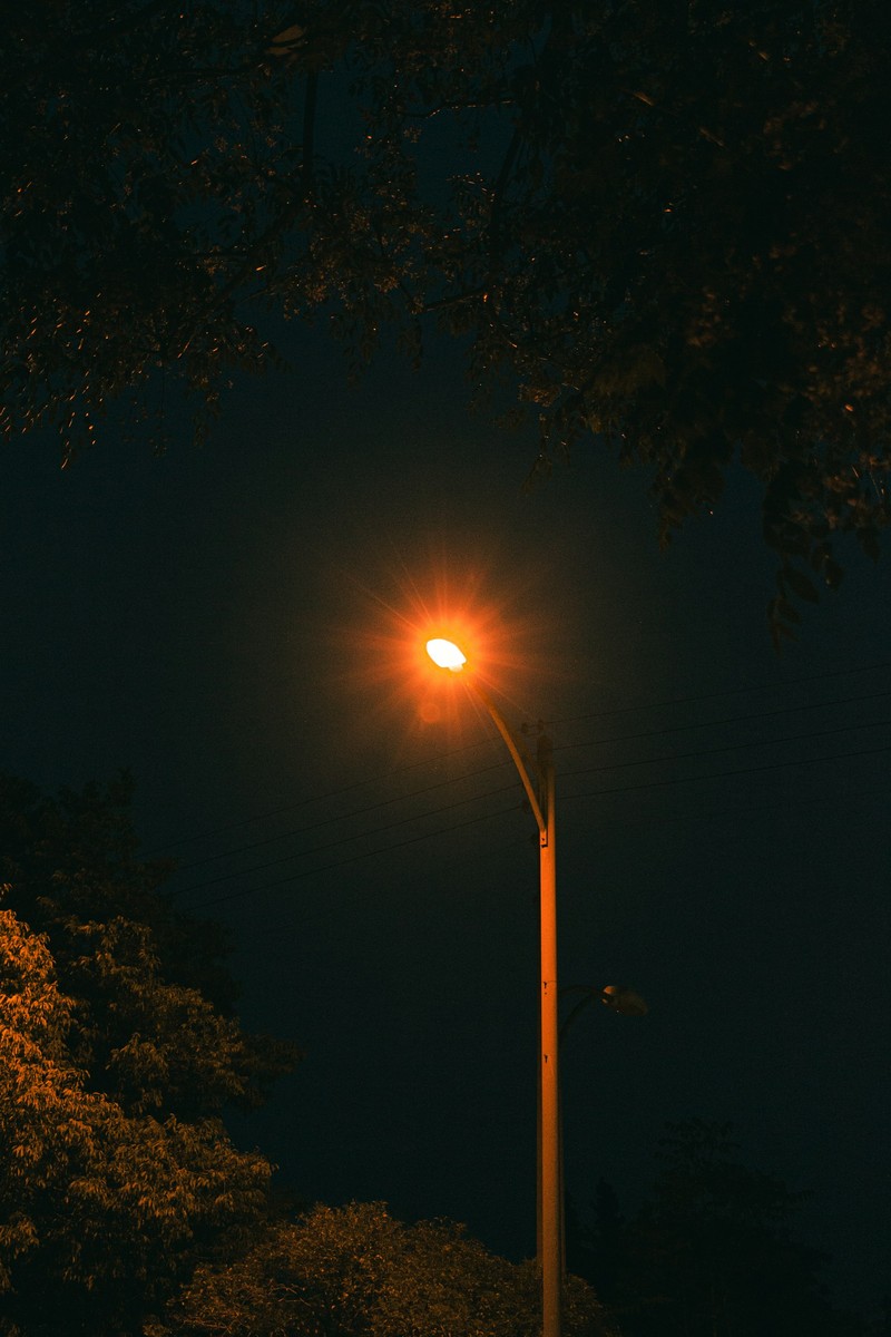 Світлана